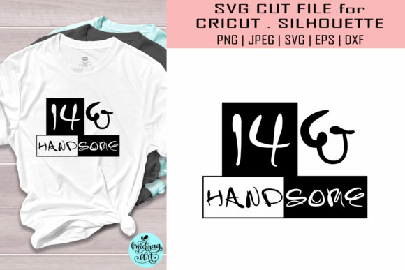 14 and Handsome, Birthday Graphics & T-Shirt Designs